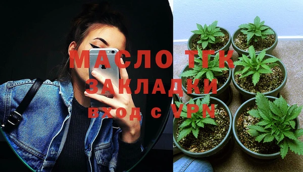 сатива Новокубанск