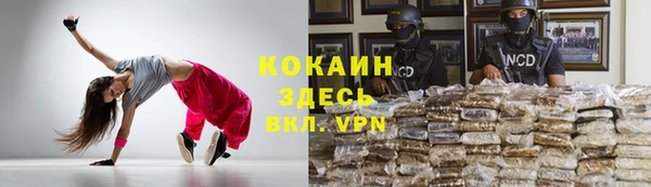 ALPHA PVP Новозыбков