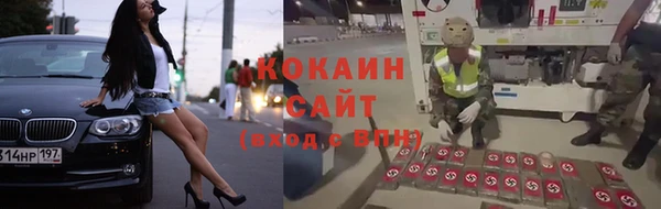 сатива Новокубанск