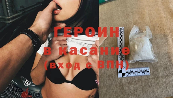 сатива Новокубанск