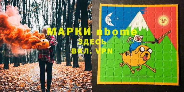сатива Новокубанск