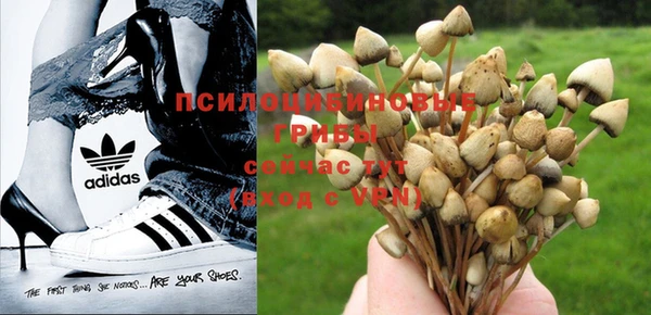 прущие крисы Нязепетровск