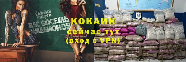 ALPHA PVP Новозыбков