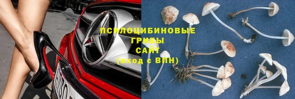 ALPHA PVP Новозыбков