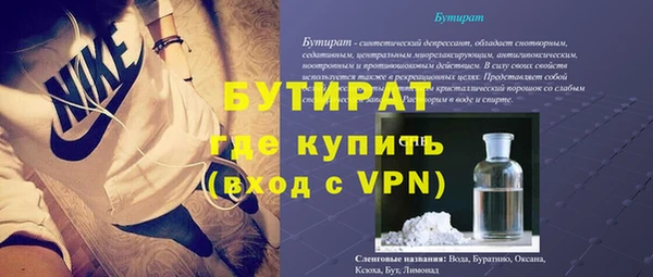 сатива Новокубанск