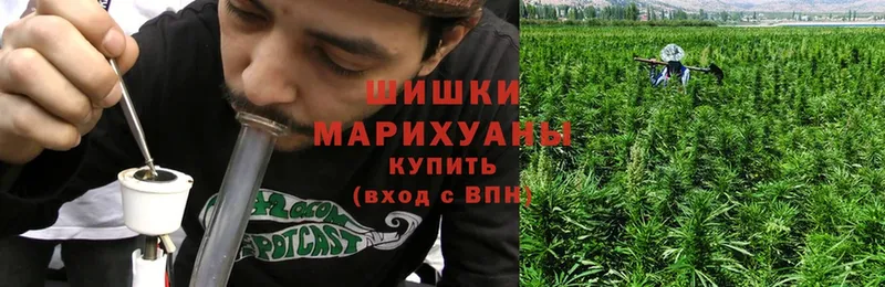 купить  сайты  Купино  Бошки марихуана White Widow 